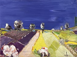 Senteurs du luberon.  40x30