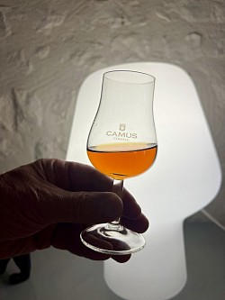 Contrastes très amicaux