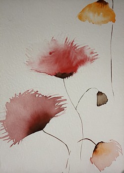 Découvertes florales.           VENDUE