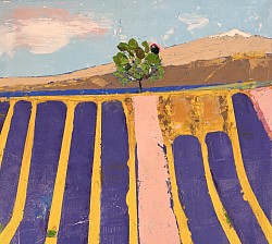 L arbre qui veille sur le champ.       50x50