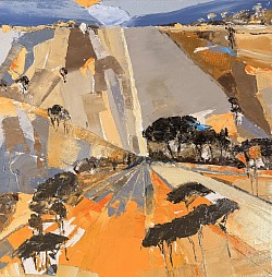 Fragment de sud.     Série survols.   40x40