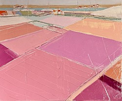 La terre des paludiers                         50x60