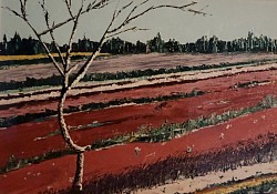 La politesse de la nature.         60x40.        Non dispo